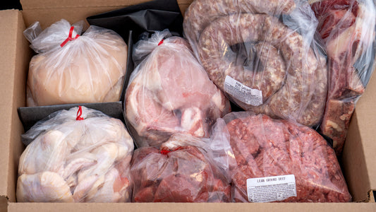 Fall into Winter #291