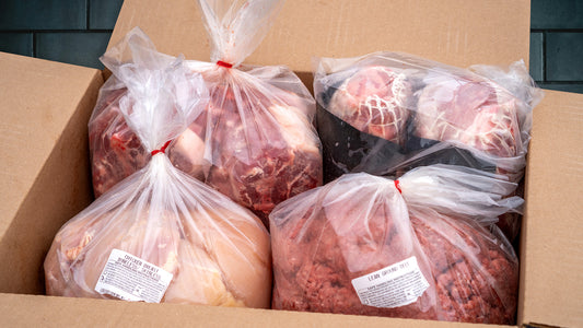 Freezer Starter #367